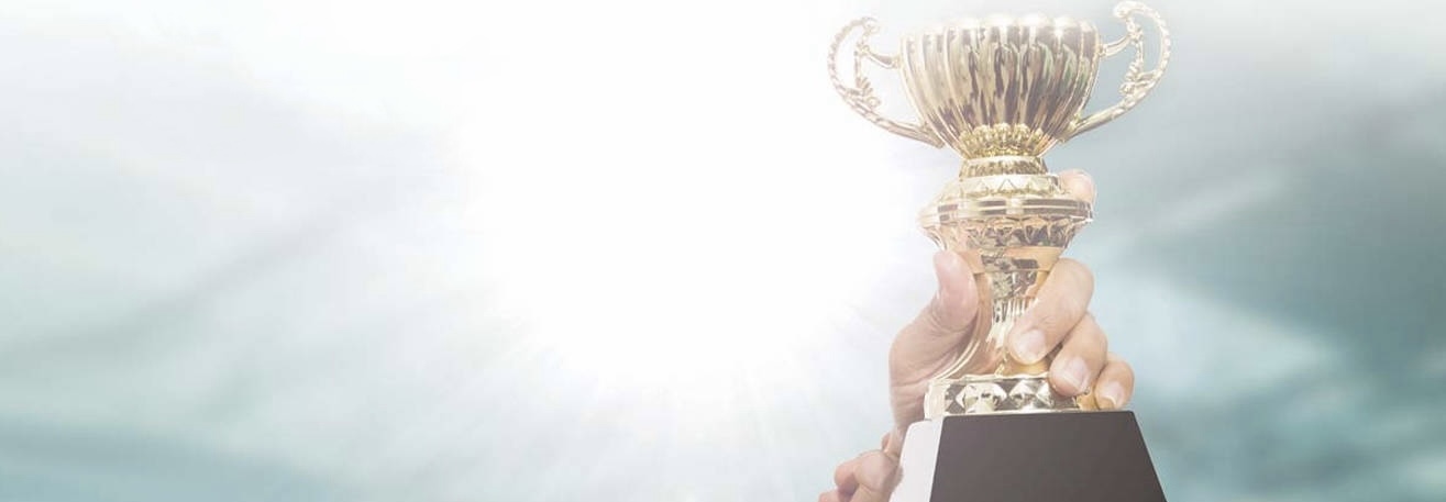 企業(yè)榮譽(yù)